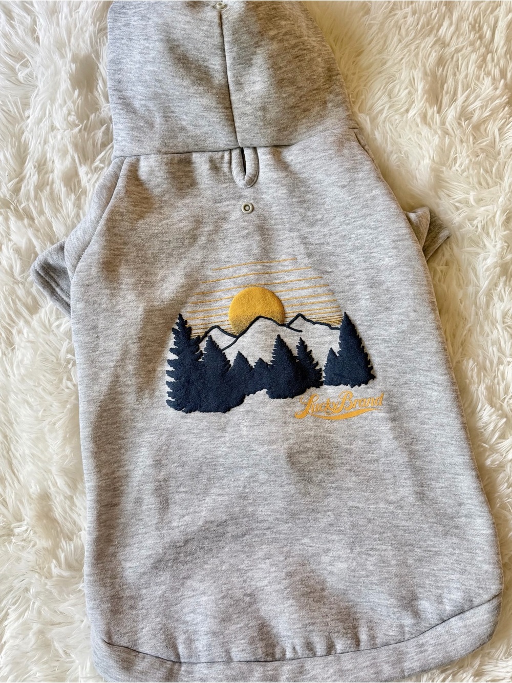 Lucky Brand Mountain Graphic Medium Dog Hoodie Gray - Picture 2 of 8